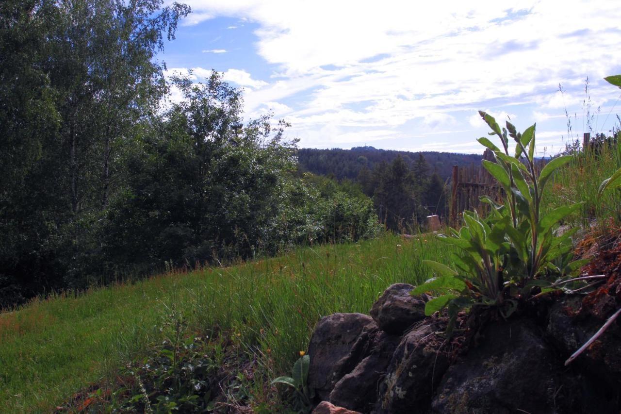 Villa Chaloupka Mezná - Národní park České Švýcarsko Hřensko Esterno foto